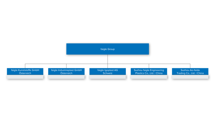 faigle Group Organigramm
